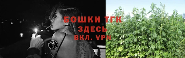 молекула духа Карпинск