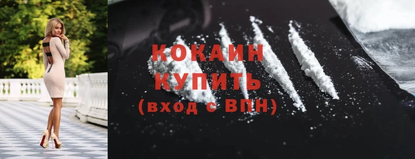молекула духа Карпинск