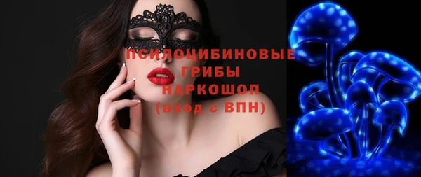 дурь Каменка
