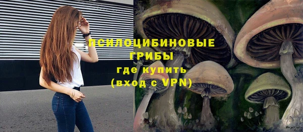 наркотики Каменногорск