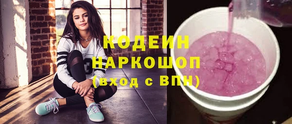 молекула духа Карпинск