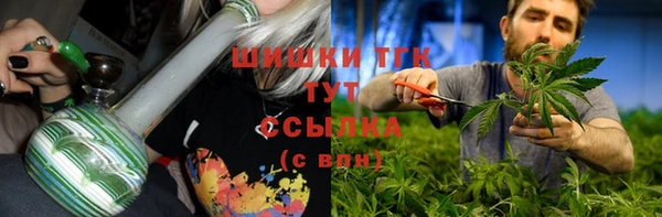 молекула духа Карпинск