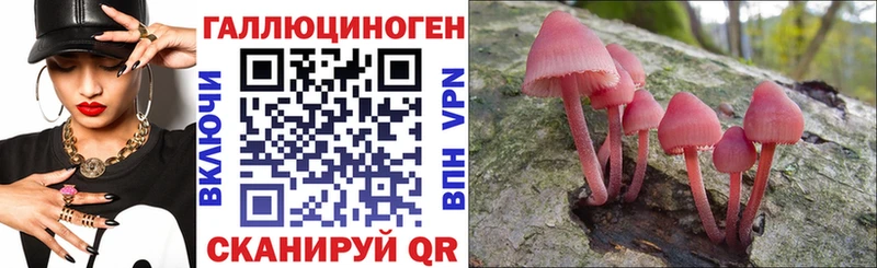 Псилоцибиновые грибы MAGIC MUSHROOMS  hydra вход  Верея  дарнет шоп 